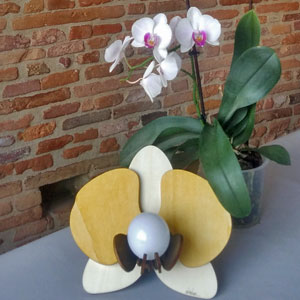 Lampe-orchidée phalaenopsis