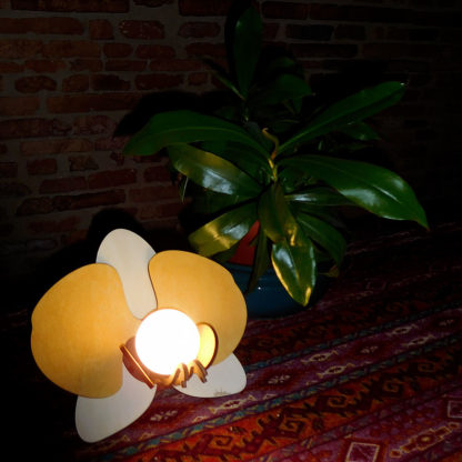 lampe bois fleur phalaenopsis