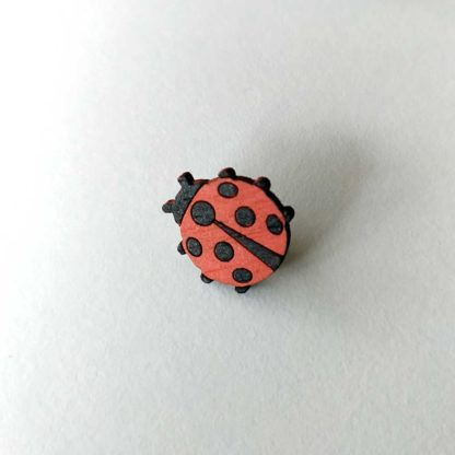 bijou de masque coccinelle