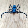 maquette insecte longicorne